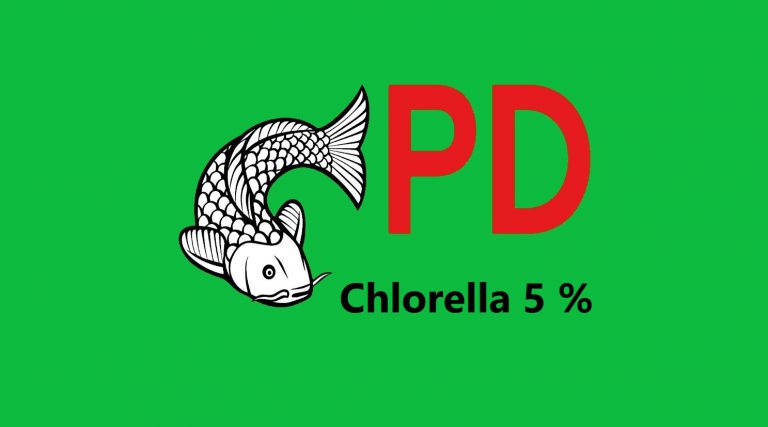 Chlorella 5